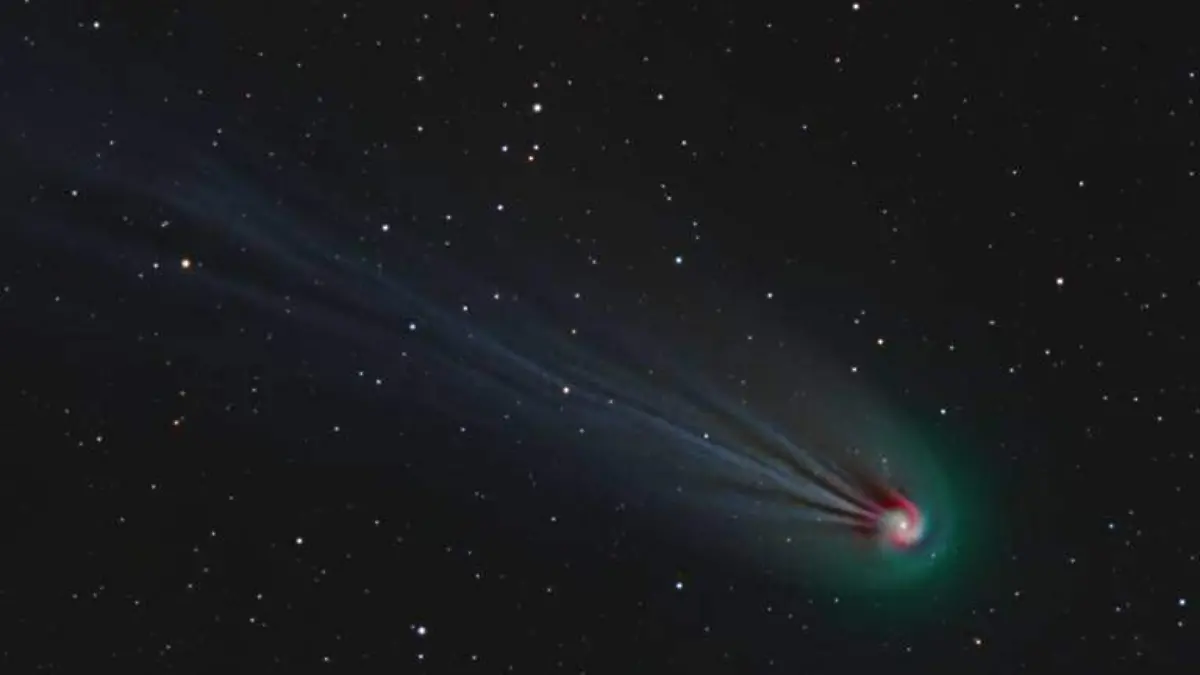 Cometa del diablo